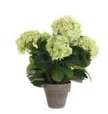 KantoormeubelenPlus Hortensia Kunstplant in Bloempot Stan - H45 x Ø45 cm - Groen