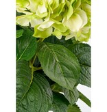 KantoormeubelenPlus Hortensia Kunstplant in Bloempot Stan - H45 x Ø45 cm - Groen