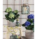 KantoormeubelenPlus Hortensia Kunstplant in Bloempot Stan - H45 x Ø45 cm - Groen