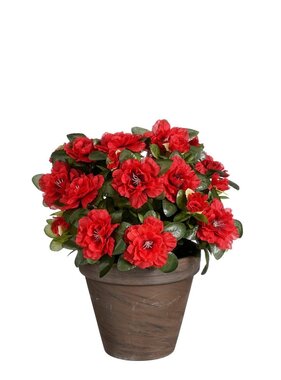 KantoormeubelenPlus Azalea Kunstplant in Bloempot Stan - H31 x Ø26 cm - Rood