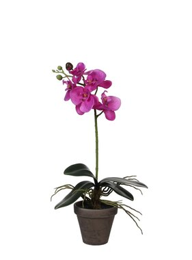 KantoormeubelenPlus Phalaenopsis Kunstplant in Bloempot Stan - H48 x Ø13 cm - Paars