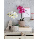 KantoormeubelenPlus Phalaenopsis Kunstplant in Bloempot Stan - H48 x Ø13 cm - Paars