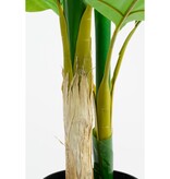 KantoormeubelenPlus Strelitzia Kunstplant - H150 x Ø40 cm - Groen