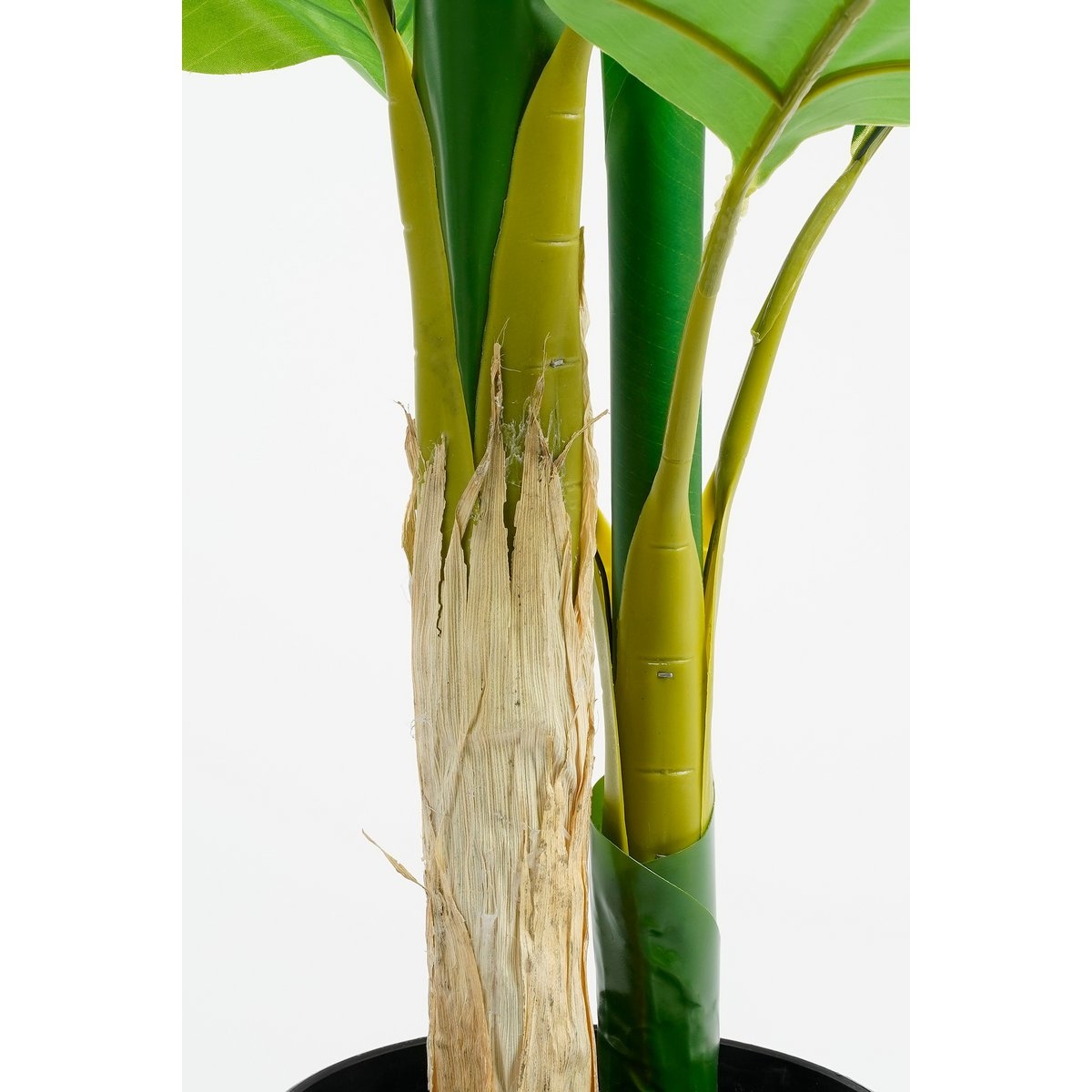 KantoormeubelenPlus Strelitzia Kunstplant - H150 x Ø40 cm - Groen