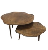 KantoormeubelenPlus Salontafel set van 2 Sycomore