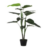 KantoormeubelenPlus Philodendron Kunstplant - H100x Ø70 cm - Groen