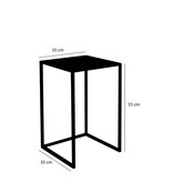 KantoormeubelenPlus Goa Bijzettafel - Set van 2 - L35 x B35 x H55 cm - Metaal - Zwart