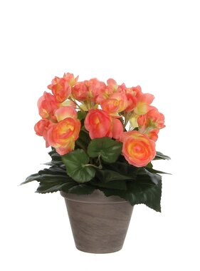 Begonia Kunstplant in Bloempot Stan - H30 x Ø25 cm - Zalmroze