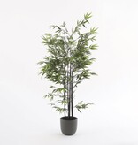 KantoormeubelenPlus Bamboe Kunstplant - H150 x Ø95 cm - Groen