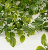 KantoormeubelenPlus Ficus Kunst Hangplant - H81 cm - Groen