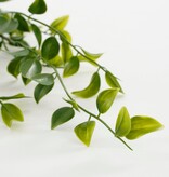 KantoormeubelenPlus Ficus Kunst Hangplant - H81 cm - Groen