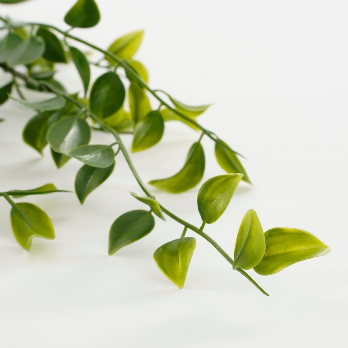 KantoormeubelenPlus Ficus Kunst Hangplant - H81 cm - Groen