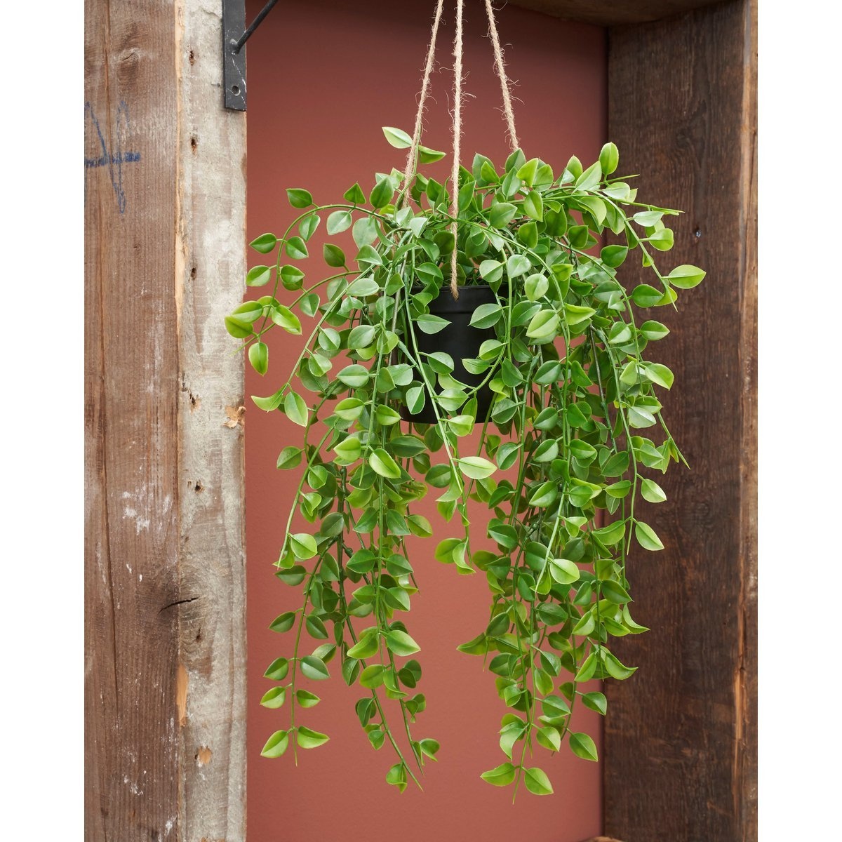 KantoormeubelenPlus Ficus Kunst Hangplant - H81 cm - Groen