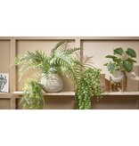 KantoormeubelenPlus Ficus Kunst Hangplant - H81 cm - Groen