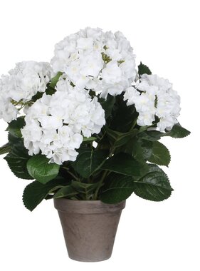 KantoormeubelenPlus Hortensia Kunstplant in Bloempot Stan - H45 x Ø45 cm - Wit