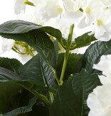 KantoormeubelenPlus Hortensia Kunstplant in Bloempot Stan - H45 x Ø45 cm - Wit
