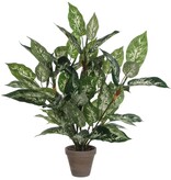 KantoormeubelenPlus Dieffenbachia Kunstplant in Bloempot Stan - H70 x Ø55 cm - Groen