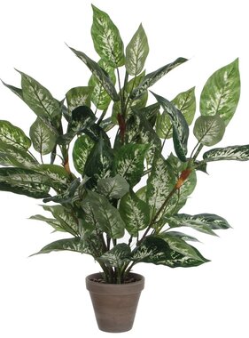 KantoormeubelenPlus Dieffenbachia Kunstplant in Bloempot Stan - H70 x Ø55 cm - Groen