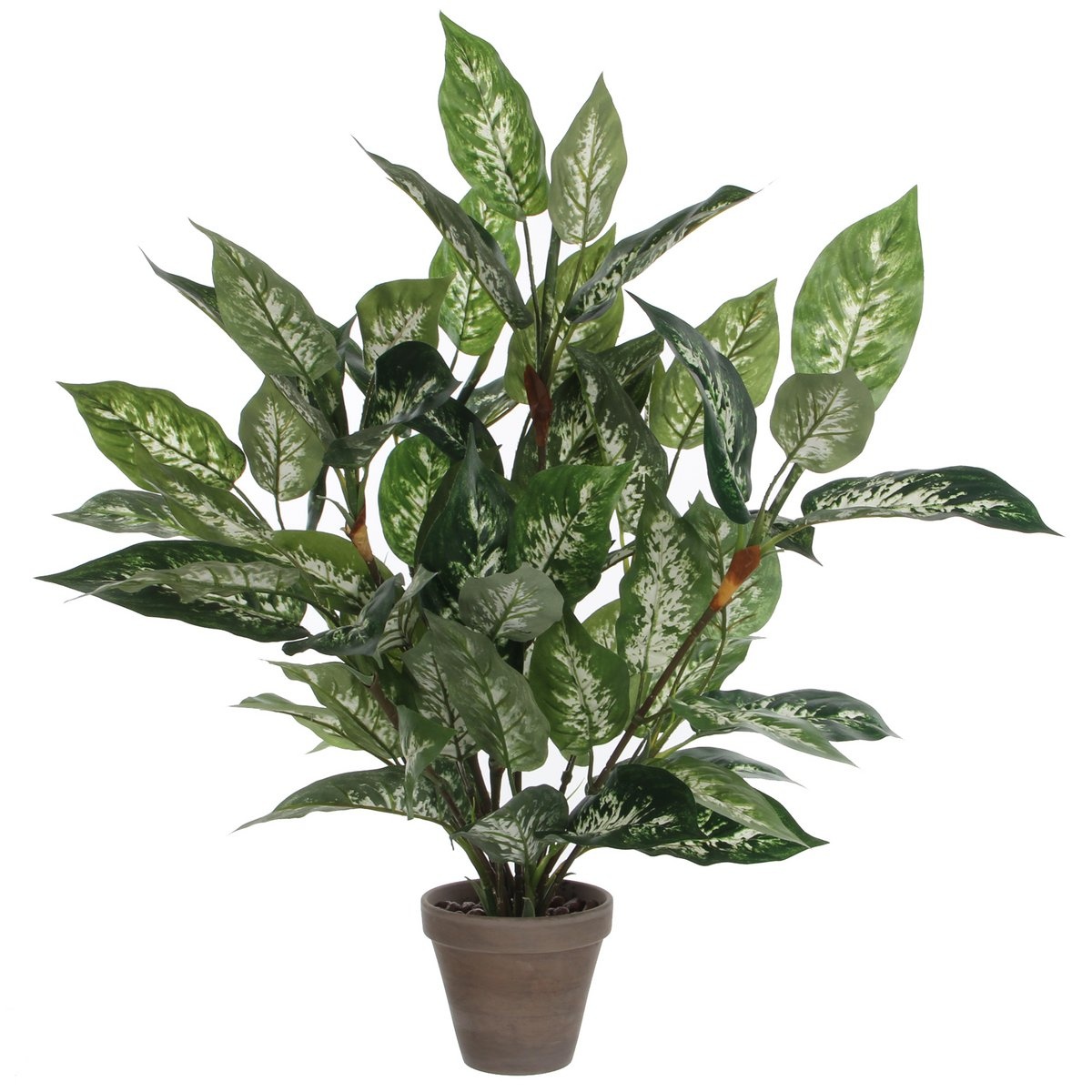 KantoormeubelenPlus Dieffenbachia Kunstplant in Bloempot Stan - H70 x Ø55 cm - Groen
