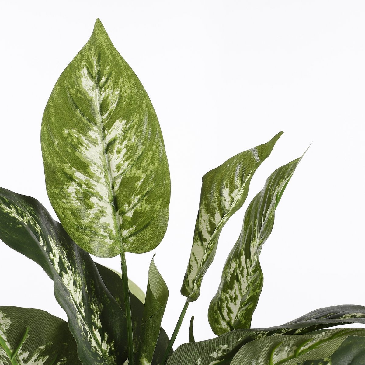 KantoormeubelenPlus Dieffenbachia Kunstplant in Bloempot Stan - H70 x Ø55 cm - Groen