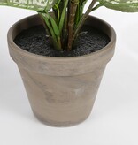 KantoormeubelenPlus Dieffenbachia Kunstplant in Bloempot Stan - H70 x Ø55 cm - Groen