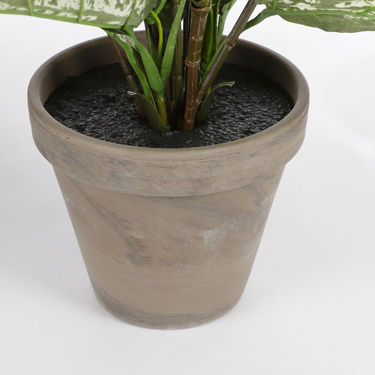 KantoormeubelenPlus Dieffenbachia Kunstplant in Bloempot Stan - H70 x Ø55 cm - Groen