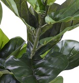 KantoormeubelenPlus Ficus Lyrata Kunstplant - H100 x Ø60 cm - Groen