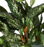 KantoormeubelenPlus Dieffenbachia Kunstplant in Bloempot Stan - H70 x Ø55 cm - Groen