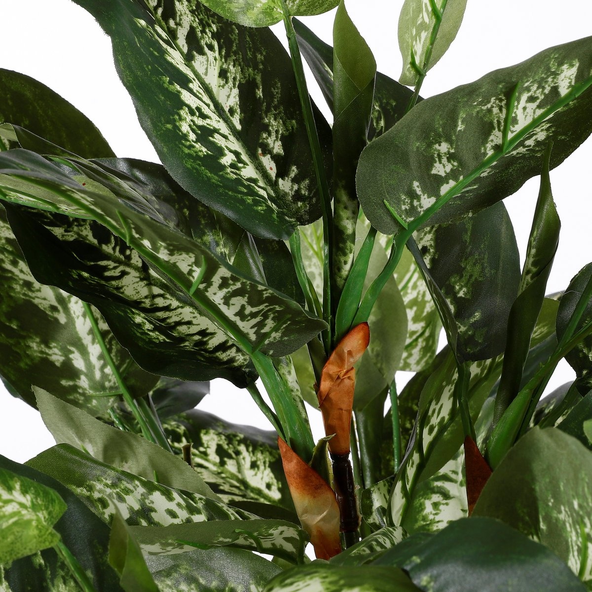 KantoormeubelenPlus Dieffenbachia Kunstplant in Bloempot Stan - H70 x Ø55 cm - Groen