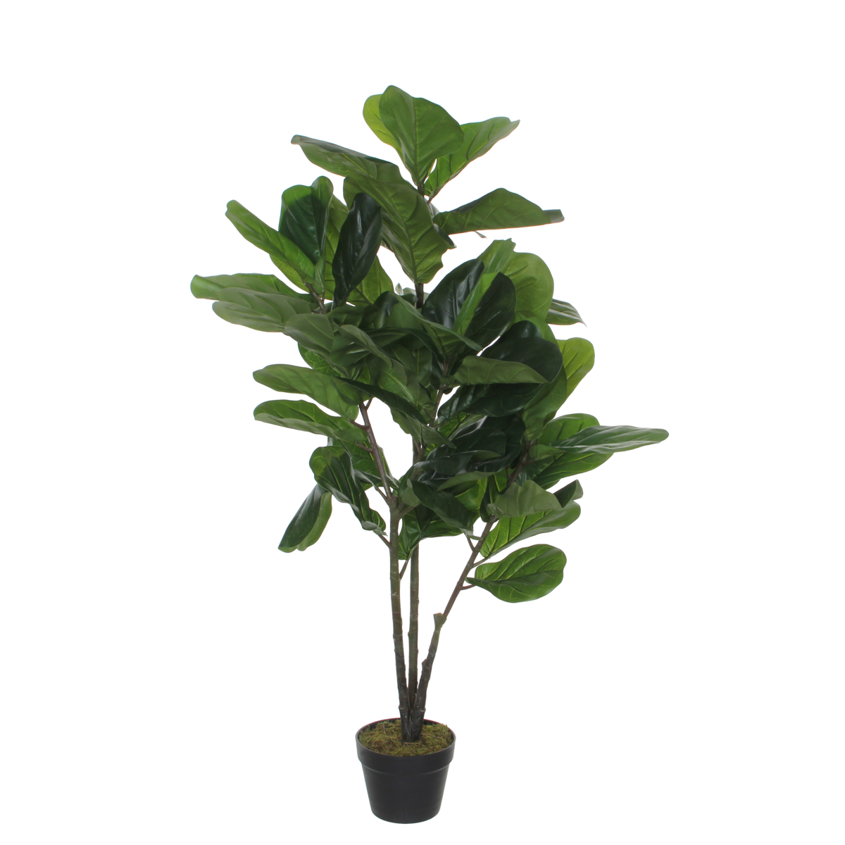 KantoormeubelenPlus Ficus Lyrata Kunstplant - H120 x Ø60 cm - Groen