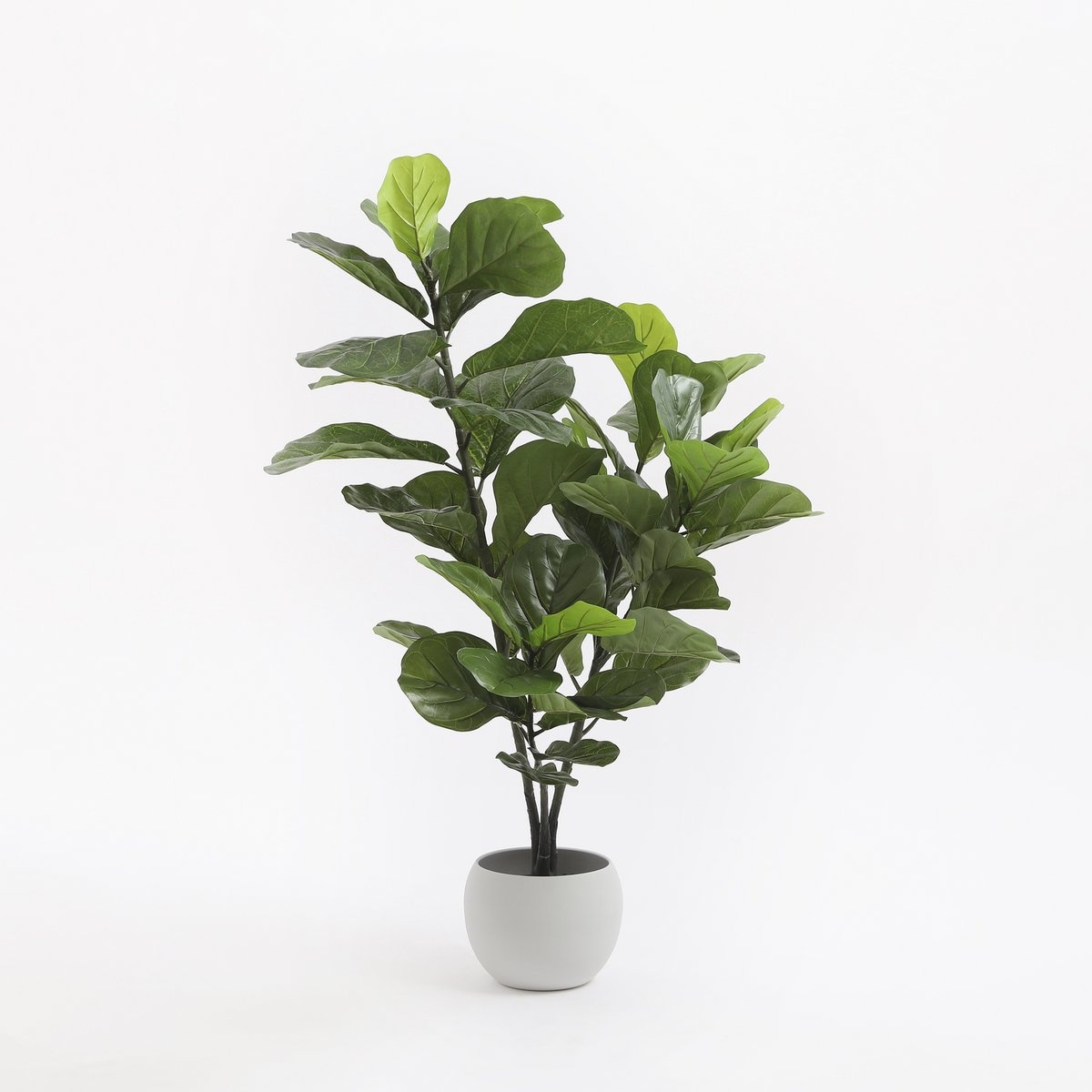 KantoormeubelenPlus Ficus Lyrata Kunstplant - H120 x Ø60 cm - Groen