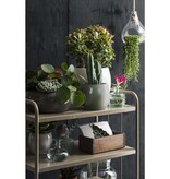 VidaXL Lester Bloempot - H31 x Ø33 cm - Terracotta - Groen