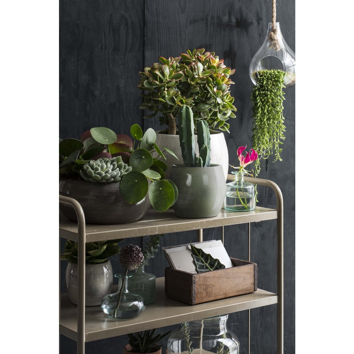 VidaXL Lester Bloempot - H31 x Ø33 cm - Terracotta - Groen