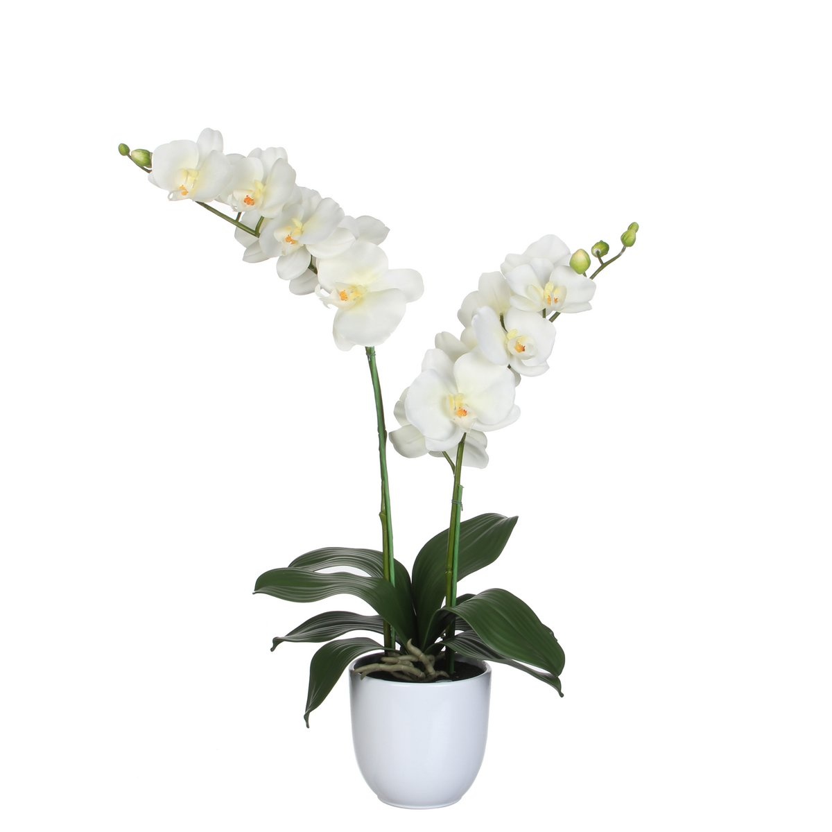 KantoormeubelenPlus Phalaenopsis Kunstplant in Bloempot Tusca - H66 x Ø38 cm - Crème