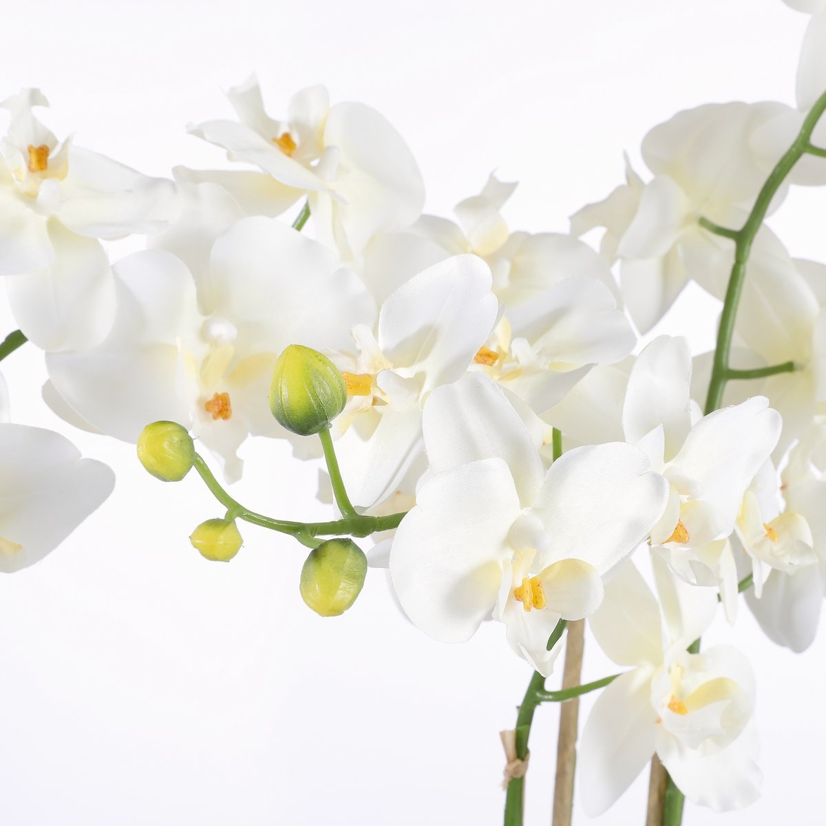 KantoormeubelenPlus Phalaenopsis Kunstplant in Bloempot Tusca - H66 x Ø38 cm - Crème