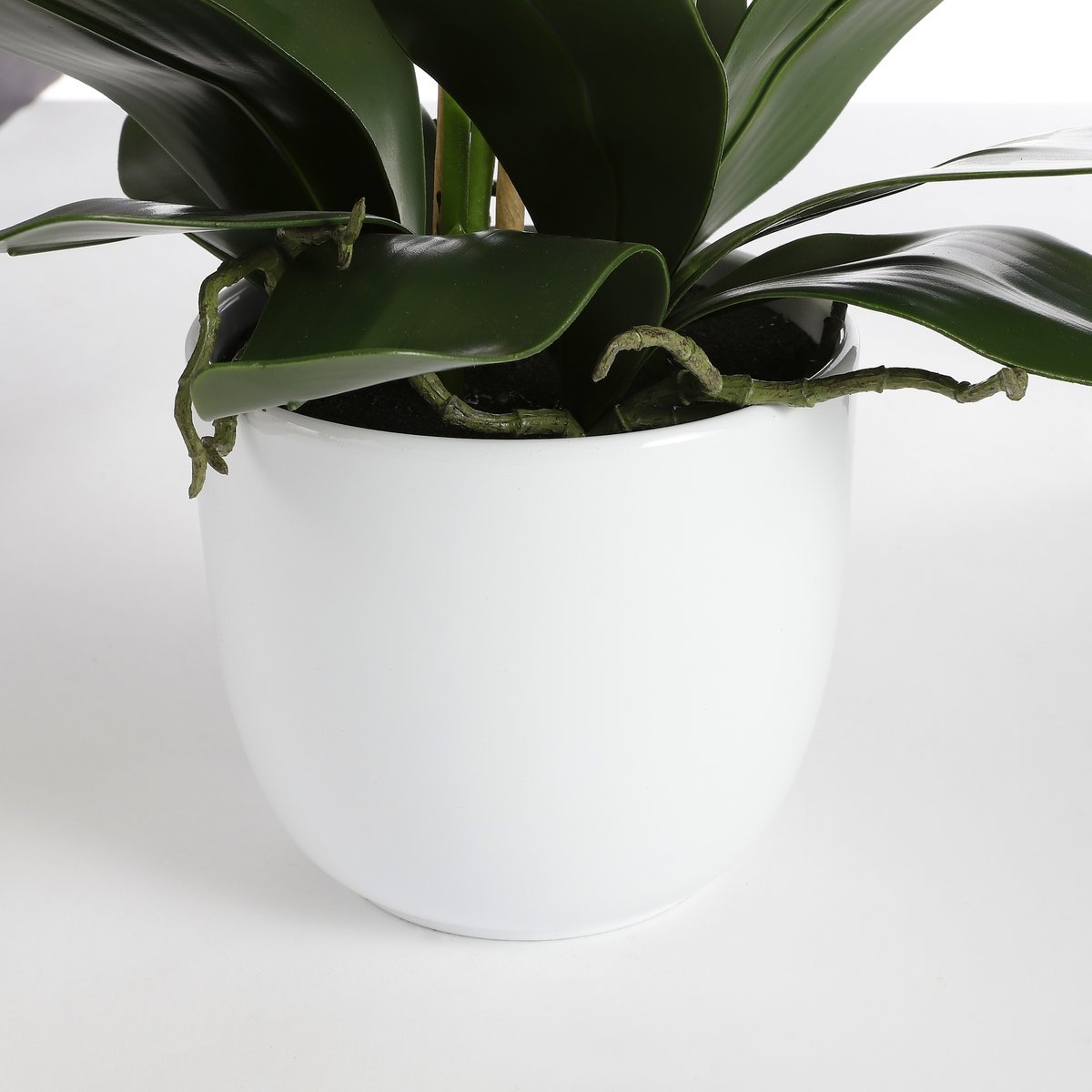 KantoormeubelenPlus Phalaenopsis Kunstplant in Bloempot Tusca - H66 x Ø38 cm - Crème
