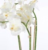 KantoormeubelenPlus Phalaenopsis Kunstplant in Bloempot Tusca - H66 x Ø38 cm - Crème