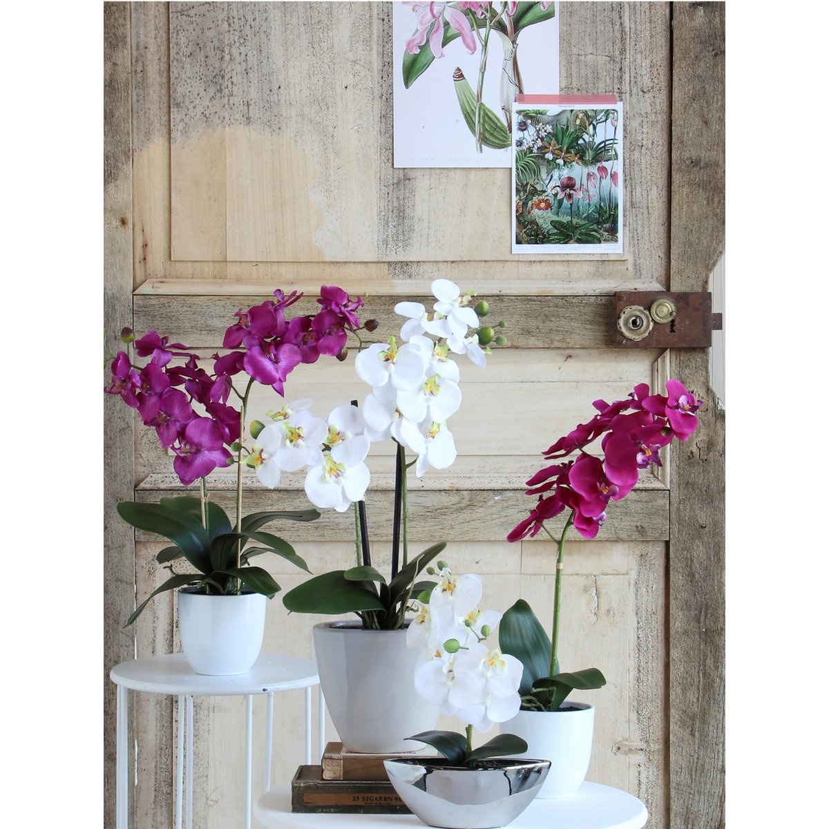 KantoormeubelenPlus Phalaenopsis Kunstplant in Bloempot Tusca - H66 x Ø38 cm - Crème