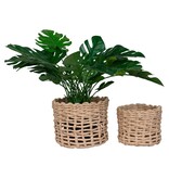 KantoormeubelenPlus Penela Basket - Mand, papier, lichtbruin, set van 2