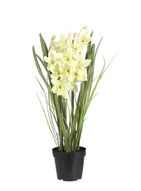 KantoormeubelenPlus Cymbidium Orchidee Kunstplant - H97 x Ø20 cm - Lichtgroen