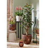 VidaXL Stage Bijzettafel - H45 x Ø35 cm - Cement - Beige