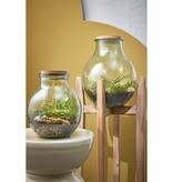Olly Vaas - H38 x Ø29 cm - Gerecycled Glas - Transparant
