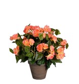 VidaXL Begonia Kunstplant in Bloempot Stan - H37 x Ø36 cm - Zalmroze