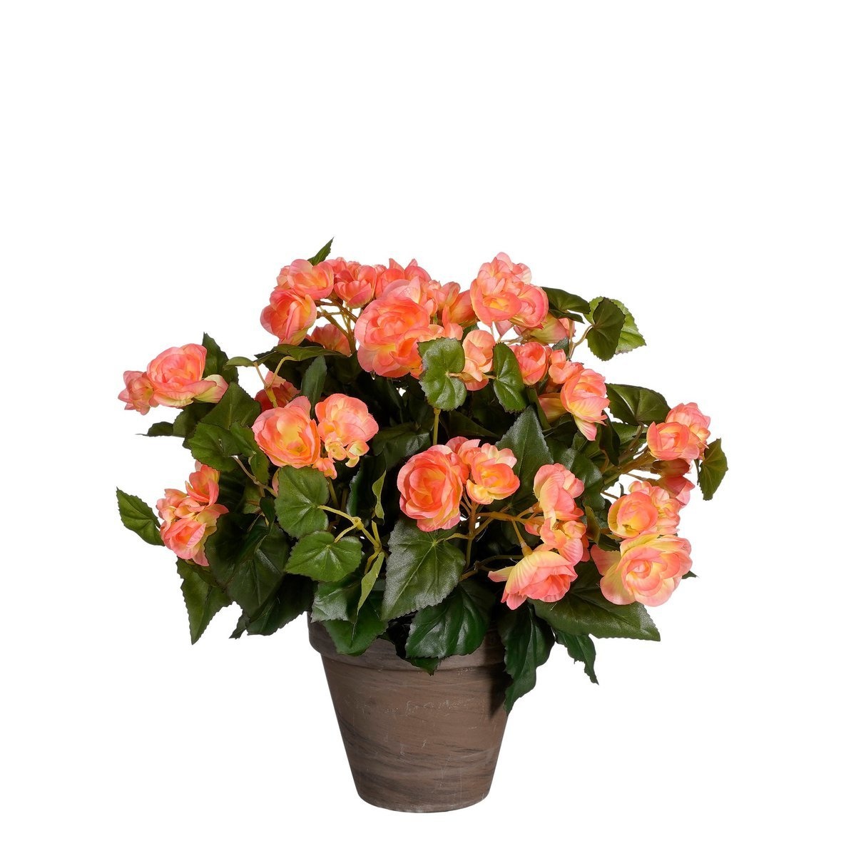 VidaXL Begonia Kunstplant in Bloempot Stan - H37 x Ø36 cm - Zalmroze