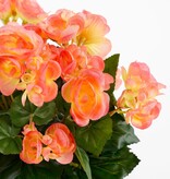 VidaXL Begonia Kunstplant in Bloempot Stan - H37 x Ø36 cm - Zalmroze
