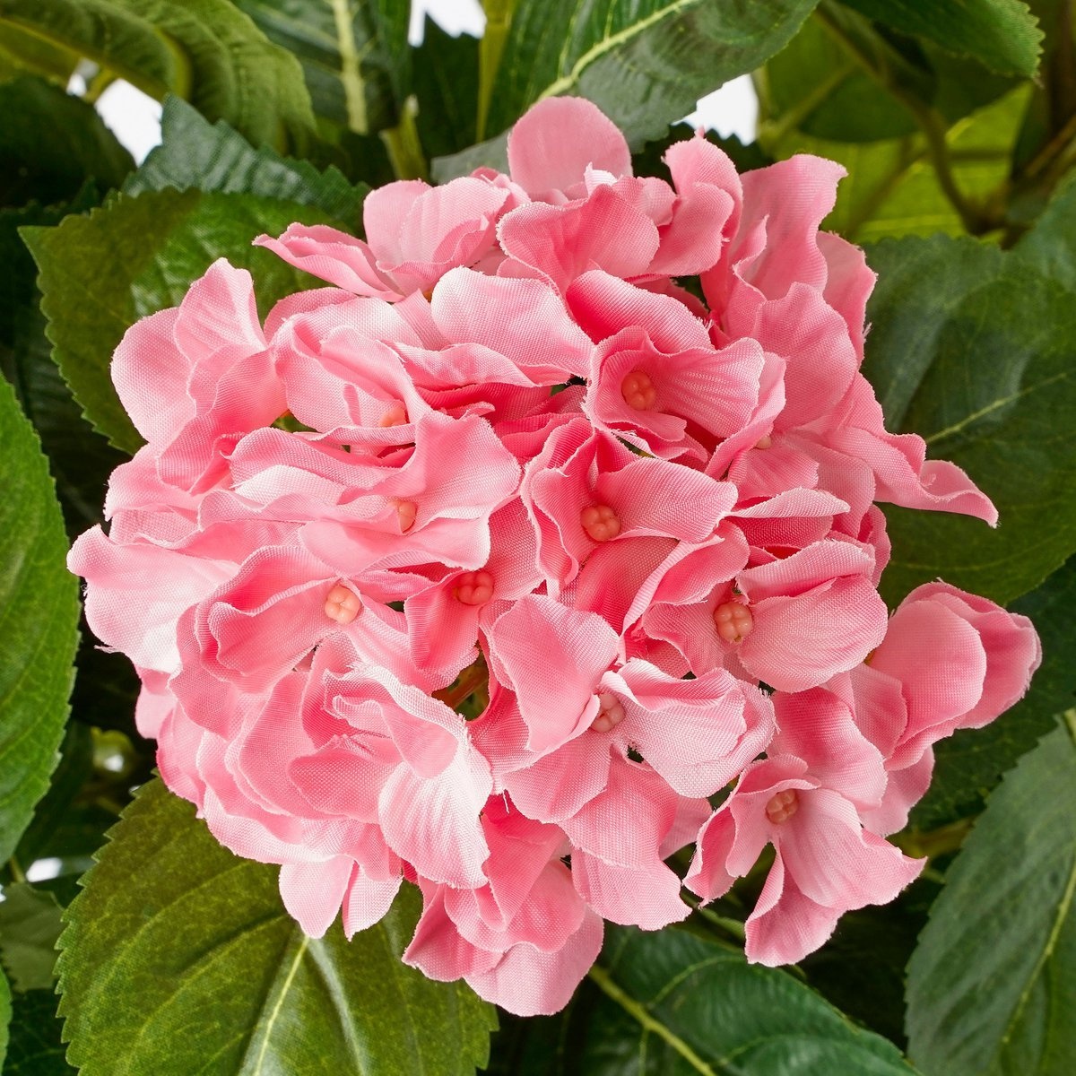 vidaXL Hortensia Kunstplant in Bloempot Stan - H45 x Ø45 cm - Roze