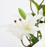 VidaXL Tijgerlelie Kunstplant in Bloempot Stan - H47 x Ø45 cm - Wit