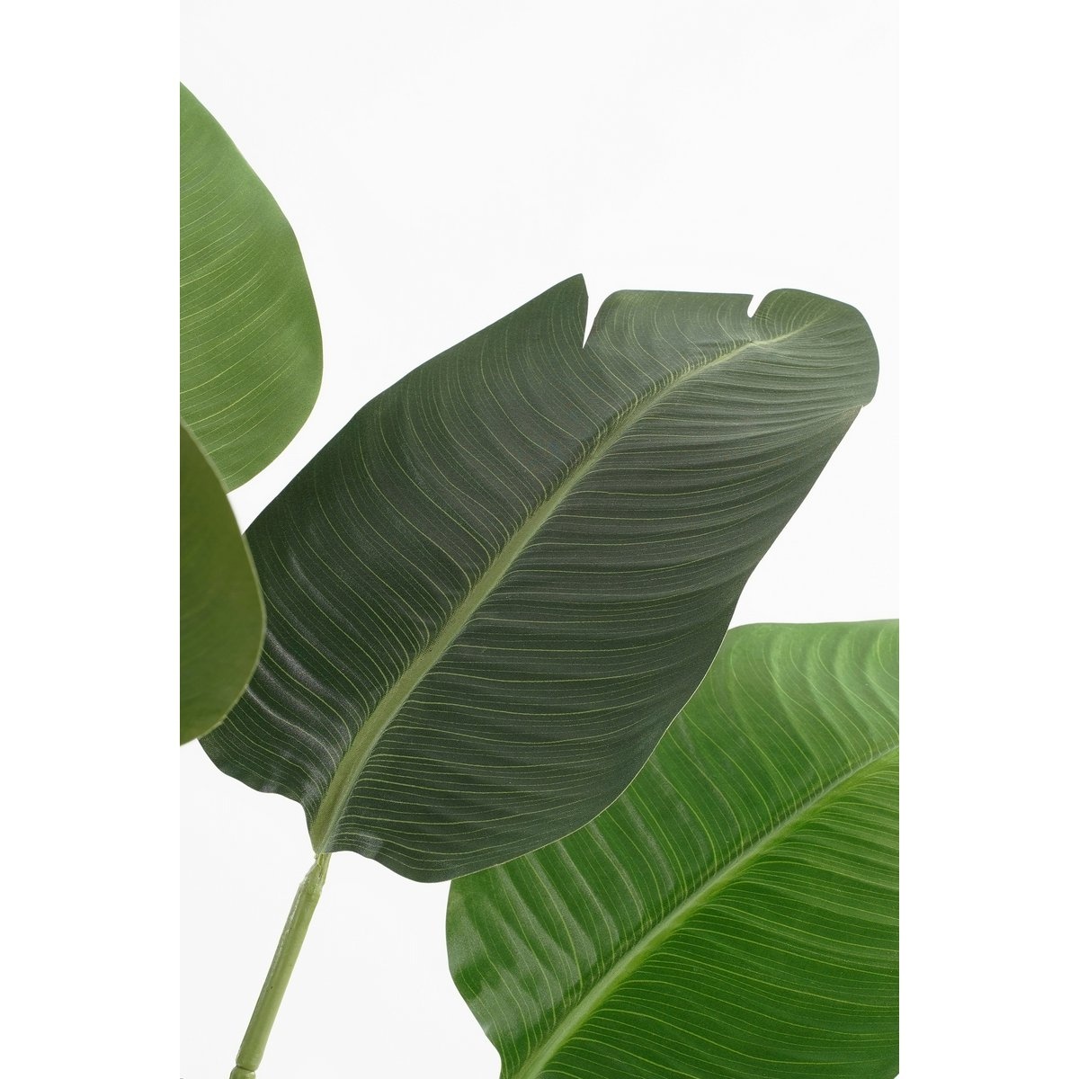 VidaXL Kunstplant Bananenboom in Pot - H180 x Ø30 cm - Groen