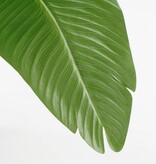 VidaXL Kunstplant Bananenboom in Pot - H180 x Ø30 cm - Groen
