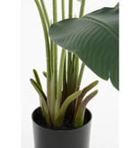 VidaXL Kunstplant Bananenboom in Pot - H180 x Ø30 cm - Groen